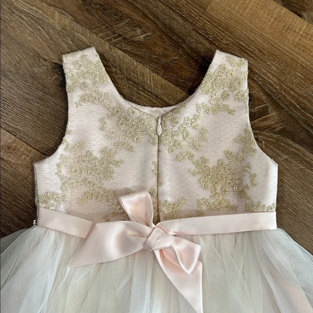 American Princess Girls Toddler Dress Beautiful Fancy Light Pink, Gold, & White - Picture 10 of 13